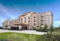 SpringHill Suites Baton Rouge North/Airport ホテル詳細
