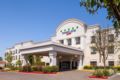 SpringHill Suites Modesto ホテル詳細