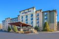 SpringHill Suites Pigeon Forge ホテル詳細