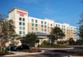 TownePlace Suites Orlando at Flamingo Crossings/Western Entrance ホテル詳細