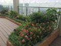 3 bedroom Mini-penthouse with private SkyGarden ホテル詳細