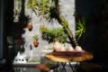 Balcony Studio 500m to BEACH-GARDEN-KOI FISH POND ホテル詳細