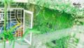 Nhiên - homestay Phú Yên ホテル詳細