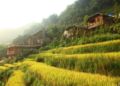 Sapa Laxsik Ecolodge ホテル詳細